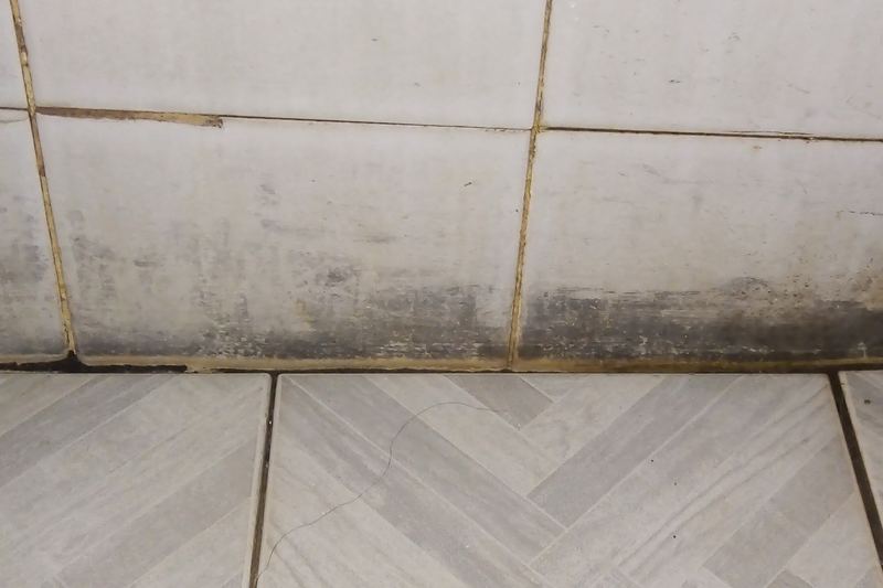 Black indoor mold growth on a building surface