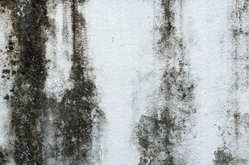 White wall with black mouldy paint staining
